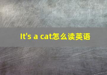 It's a cat怎么读英语